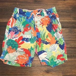 Boden boys shorts 4y